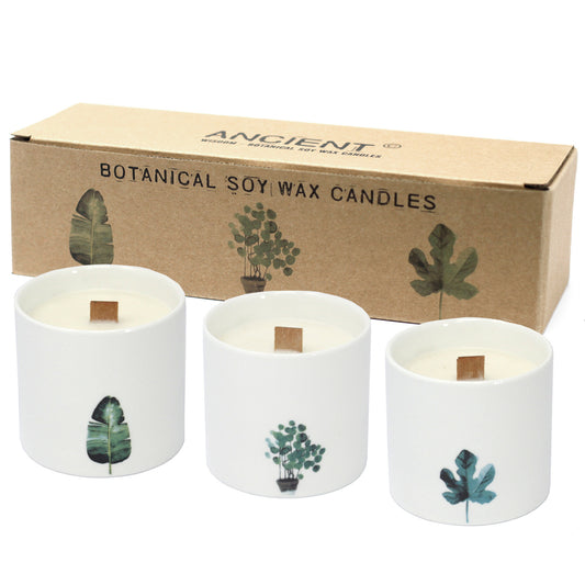 Botanical Wooden Wick Soy Candles - Marsh Viola - Set of 3